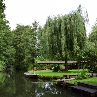 半岛·综合体育APP